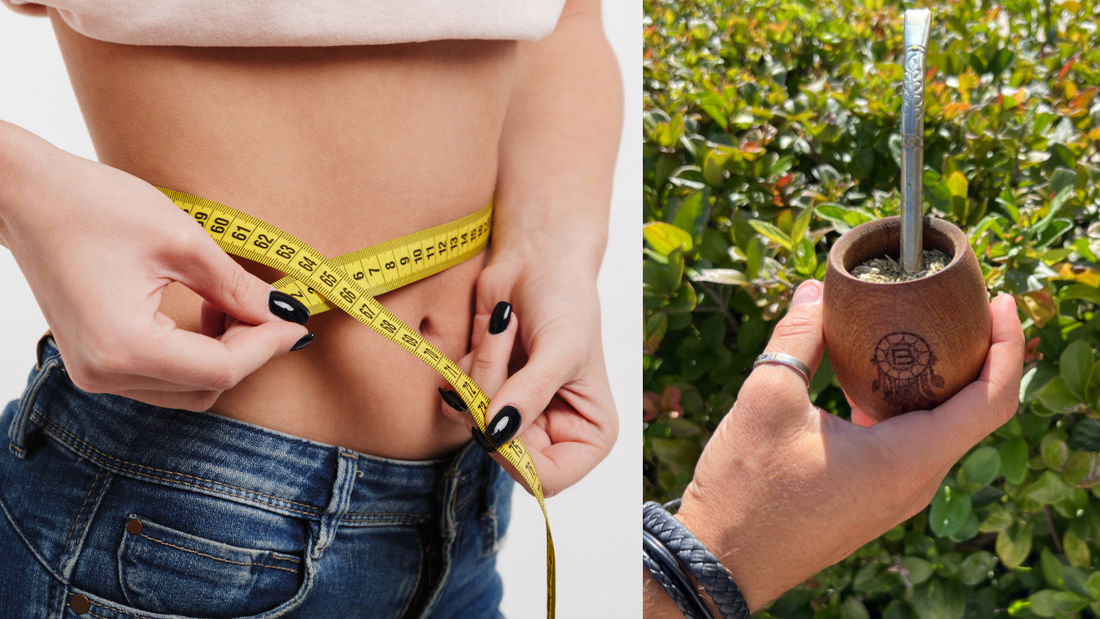 Yerba Mate and Weight Loss