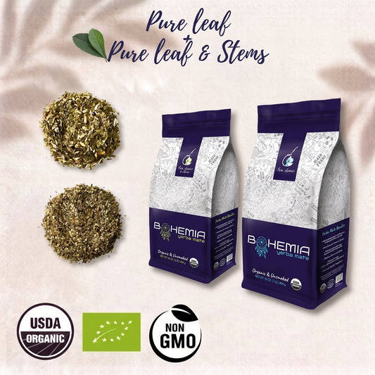 Bohemia Yerba Mate USDA Organic 2 PACK